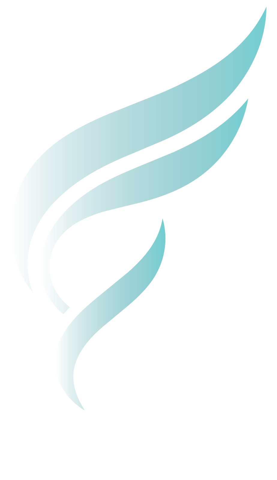 E-Shneta