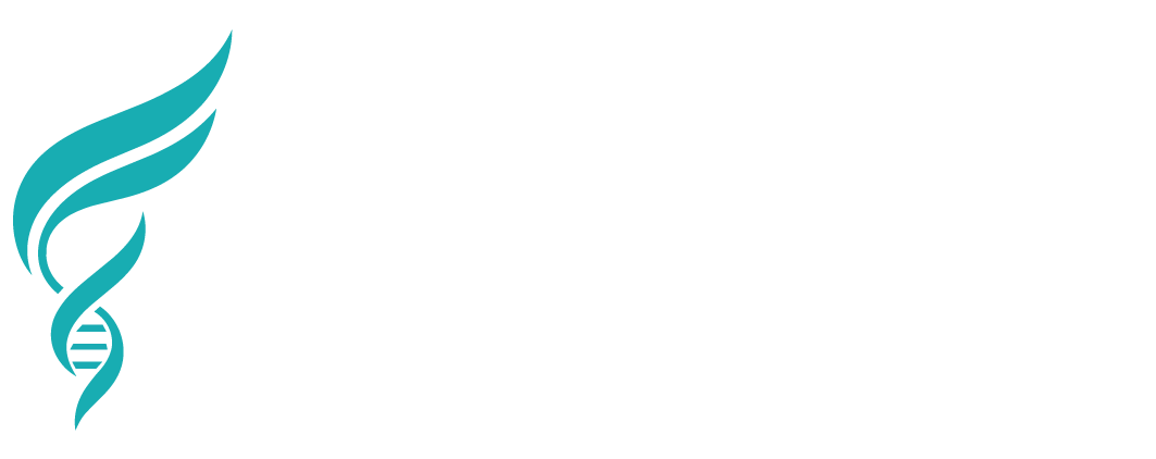 E-Shneta